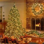 Merry Christmas Everyone!
