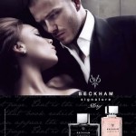 David And Victoria Beckham DVB Beckham Signature Story Perfumes