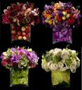This Season’s Flowers Trends