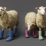 How To Tell A Real UGG From A Fake UGG?