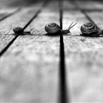 Crossing Lines, Sharing Smiles