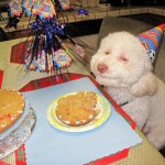 Happy Hump Birth – Day!