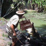 Hermès Into Breeding Crocodiles For More Bags