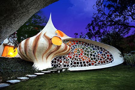 nautilus shell image