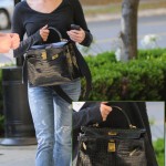 Renee Zellweger Matches Hermes Kelly With Converse And Aviators