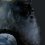24 Hours Of Christmas! C – 6