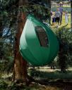 $50.000 Tree Waste for Three