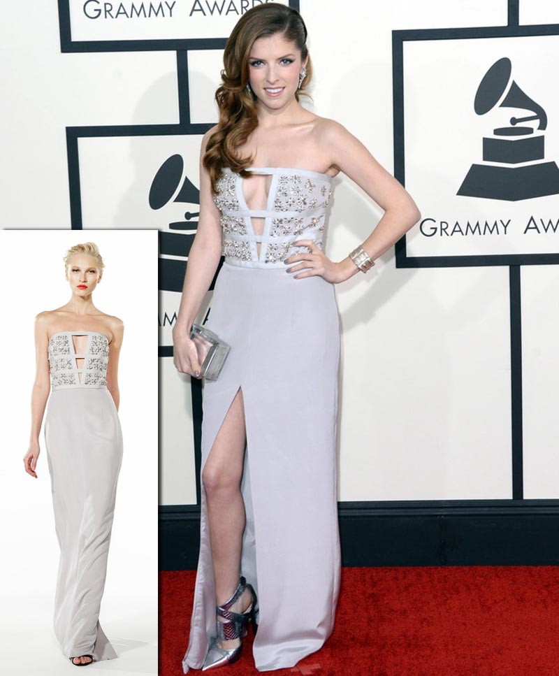 2014 Grammy Awards Anna Kendrick Azzaro dress