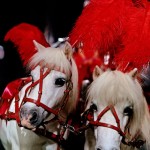 Christmas miniature horses Selfridges ad campaign