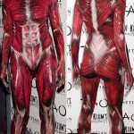 Heidi Klum amazing Anatomy costume for Halloween