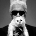 Karl Lagerfeld with his cat in Harper s Bazaar