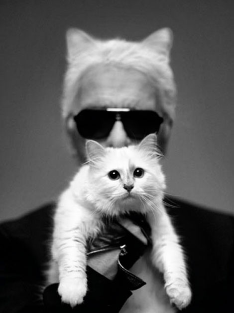 Karl Lagerfeld with his cat in Harper s Bazaar