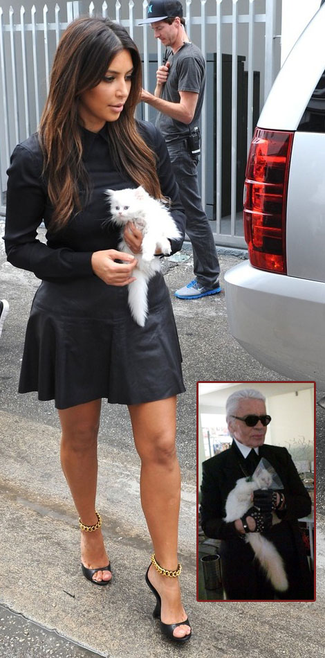 Kim Kardashian s white Kitty copying Karl Lagerfeld