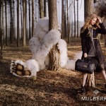 Lindsey Wixson Mulberry Where the Wild Things Are campaign