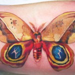 Amanda Wachob butterfly tattoo