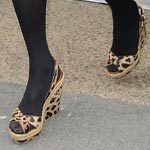 Animal Print Still In For 2009 Dixit Kate Moss!