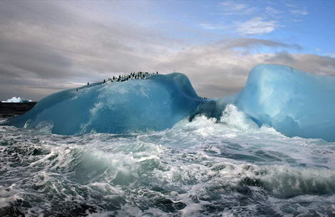 Blue Iceberg Sandwich Islands