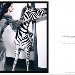 Carolina Herrera ad campaign fall winter 2010 2011 large