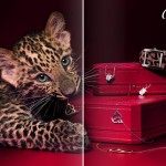Cartier Jewelry Accessories Ad Campaign Summer 2010 large