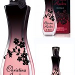 Christina Aguilera by Night fragrance