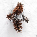 diy christmas table decoration pinecones