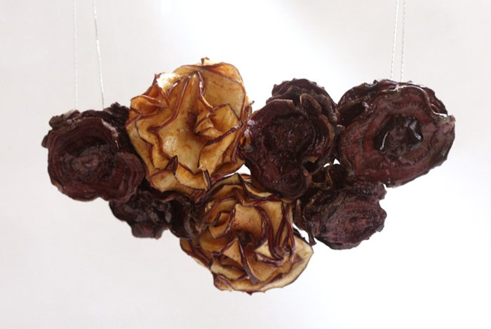 dried fruits necklace 4