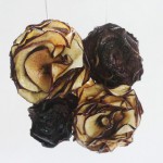 dried fruits necklace apple