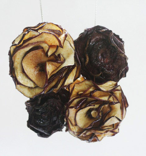 dried fruits necklace apple