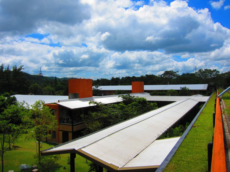 Eco Factory MAS Sri Lanka green roofs