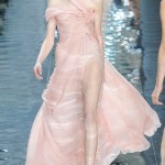 Elie Saab Spring 2010 Couture Oscar dress