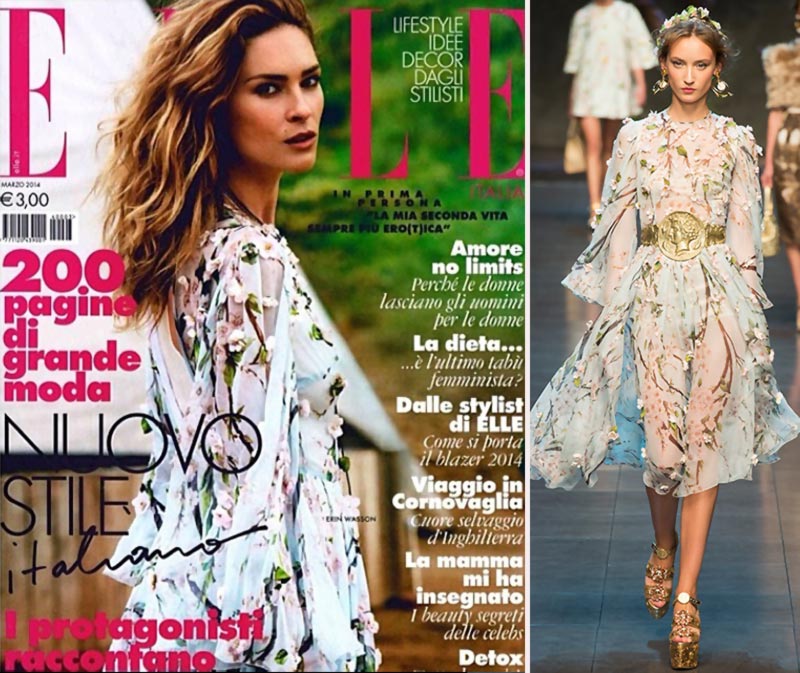 Erin Wasson Elle Italia cover Dolce Gabbana dress SS14