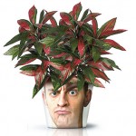 face print flower pot angry