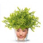 face print flower pot buxus