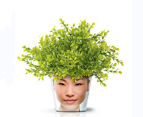 face print flower pot buxus