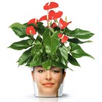 face print flower pot red