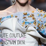 Haute Couture Summer 2016 Dior details