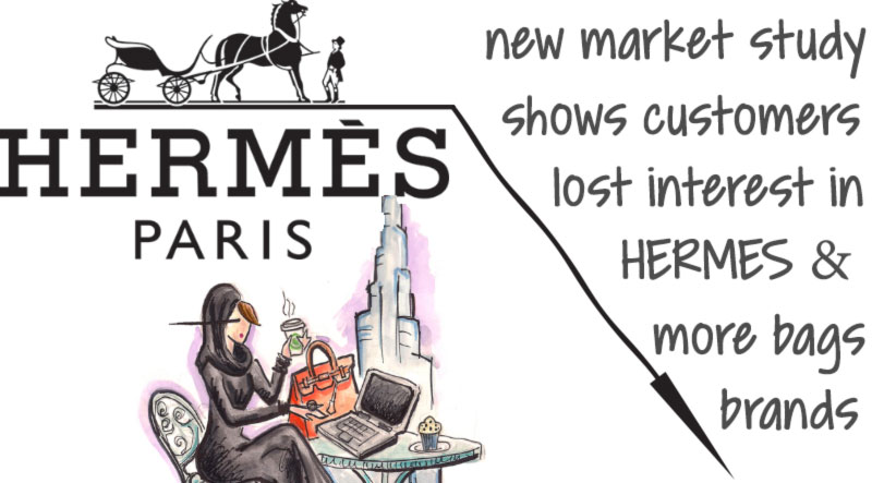Hermes bags market study