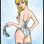 lingerie for Cinderella