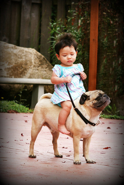 little girl riding her dog