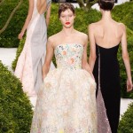 lovely flowers embroidered dress Dior Couture Spring 2013 collection