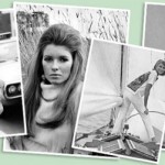 Martha Stewart ad campaigns