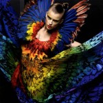 McQueen parrot dress inspired by Isabella Blow