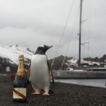 Mike Horn G H Mumm Dinners of the Extreme penguin