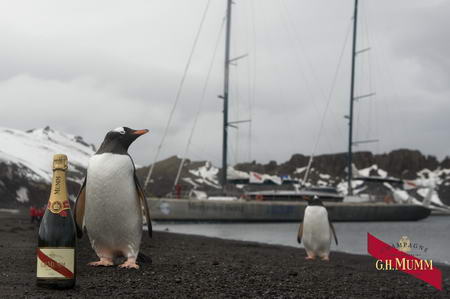 Mike Horn G H Mumm Dinners of the Extreme penguin