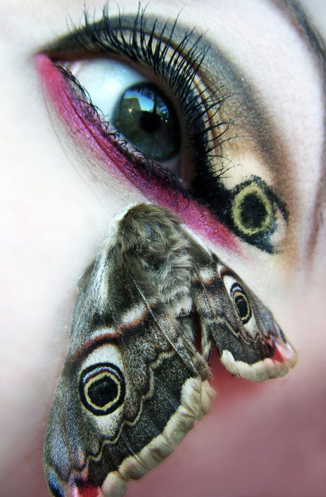moth eyes makeup