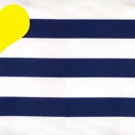 navy stripes yellow colors combo