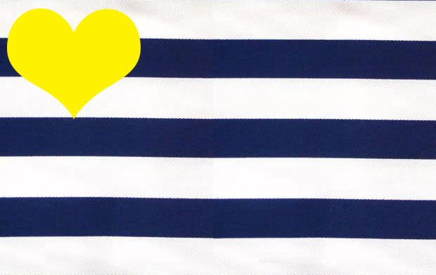navy stripes yellow colors combo