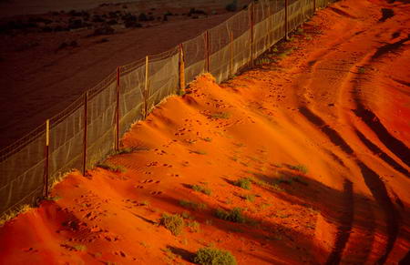 Orange sunlight dingo fence Australia Medford Taylor
