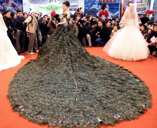 2,009 Peacock Feathers Wedding Dress