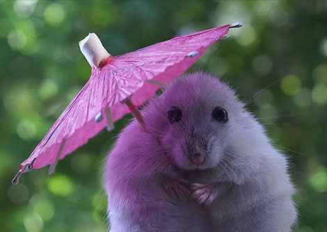 Purple Umbrella mouse